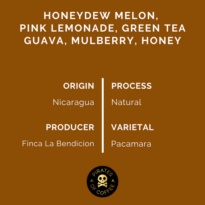 Pirates Coffee | Nicaragua Pacamara 250G
