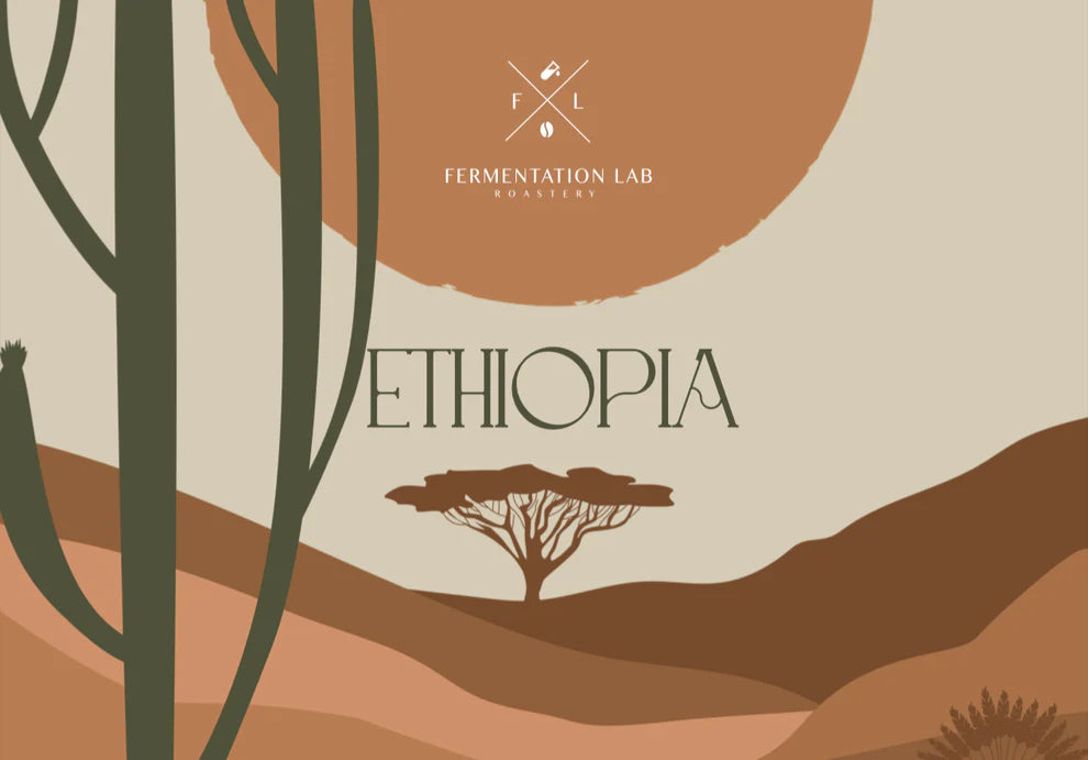 Fermentation Lab Ethiopia Zabeel Espresso 250G