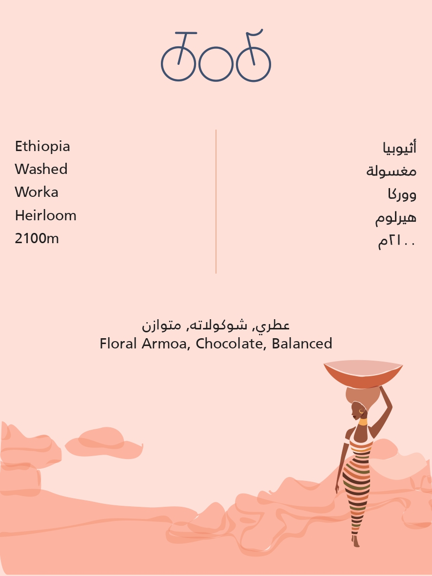 TRICYCLE | Ethiopia Worka Washed 250G