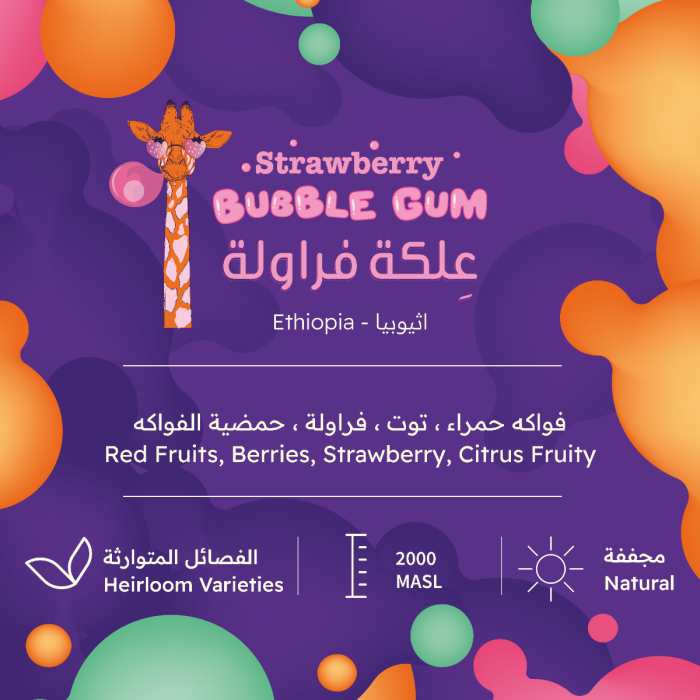 علكة الفراولة TRH - إثيوبيا الخاصة 227 غرام