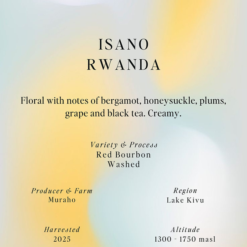 SUMO | ISANO RWANDA 250G