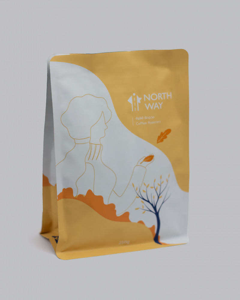 NORTHWAY Colombia La Verse 250G