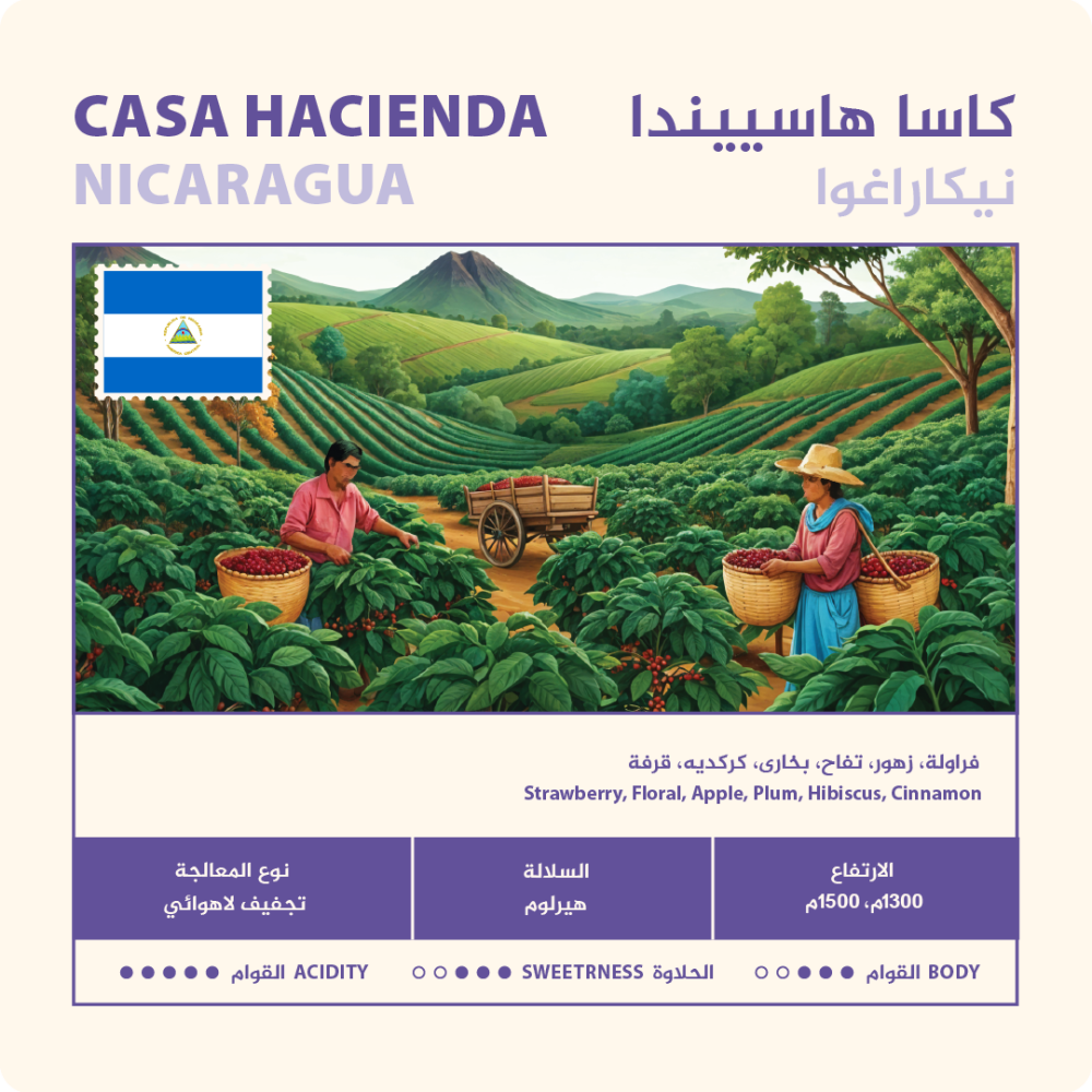 NAHJ | Casa Hacienda Anaerobic Natural 250G