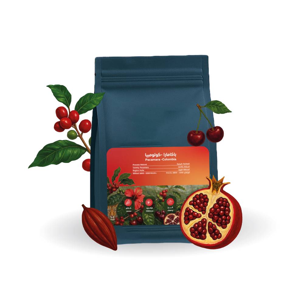SOUTH Colombia Pacamara 125G