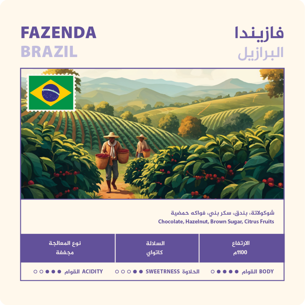 NAHJ | Brazil Fazenda 250G