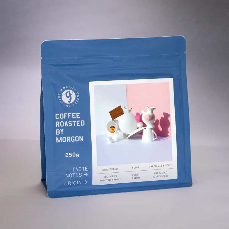 MORGON COSTA RICA MONTERO Washed FILTER 250G