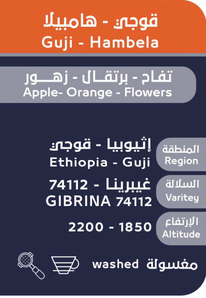 OSAR Ethiopia Guji Hambella Washed 250g