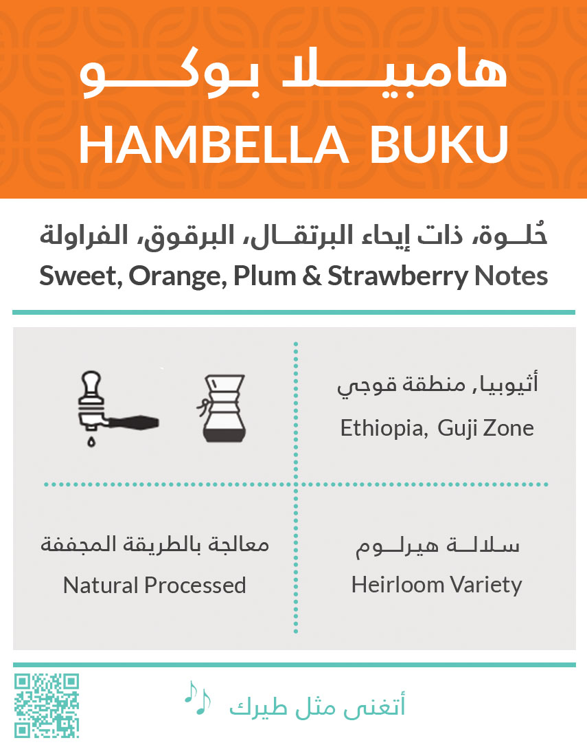 Kiffa | Ethiopia Hambella Boko 250G